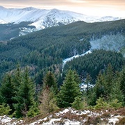 Whinlatter Forest Park