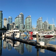Coal Harbour Marina