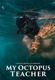 My Octopus Teacher (2020)