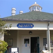 Maine State Aquarium, Boothbay