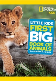 Little Kids First Big Book of Animals (Catherine D. Hughes)