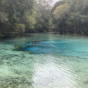 Gilchrist Blue Springs State Park