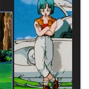 Bulma