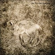 Third Eye Foundation - Semtex