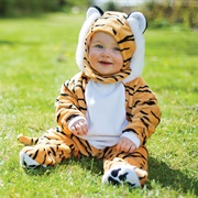 Baby Tiger