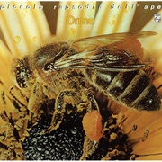 Le Orme - Piccola Rapsodia Dell'ape