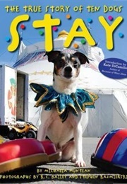 Stay: The True Story of Ten Dogs (Michaela Muntean)