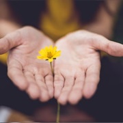 Make Amends With Former Friend (Not AA)