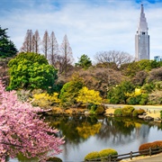 Shinjuku Gyo-En National Garden, Tokyo, Japan