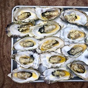 Fresh Oysters