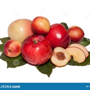 Apple and Nectarine
