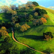 Pleasanton Ridge Regional Park