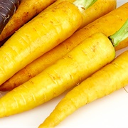 Yellow Carrot