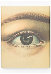 John Derian Picture Book (John Derian)