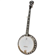 Acoustic Banjo