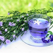 Violet Tea