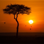 Maasai Mara National Reserve