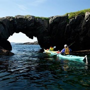 Terra Nova National Park (NL)