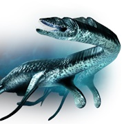 Plesiosaurus