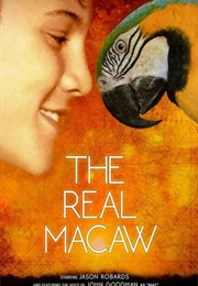 The Real Macaw (1998)