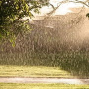 Seen the Rain Comin' Down on a Sunny Day