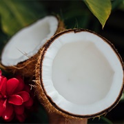 Coconut