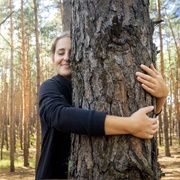 Hugged a Tree