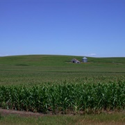 Nebraska Corn Fields