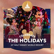 Christmas Holidays at Disney World
