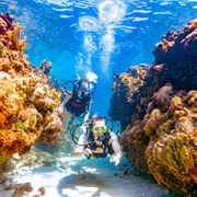Scuba Diving Lessons in Negril