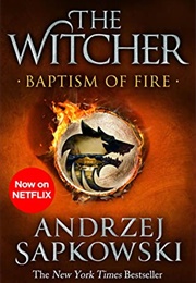 Baptism of Fire (The Witcher, #3) (Andrzej Sapkowski)