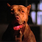 Grunt (Flashdance, 1983)