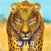 Wild Serengeti Board Game