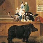 Exhibition of a Rhinoceros at Venice (Pietro Longhi)