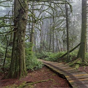 Burns Bog, Delta, BC, Canada
