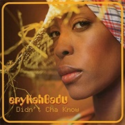 Didn&#39;t Cha Know - Erykah Badu