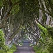 Bregagh Road in Ballymoney, Northern Ireland