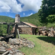 Reef Bay Trail, Virgin Islands National Park
