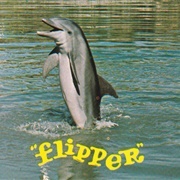 Flipper (1964-1967)