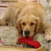 Comet ("Full House")