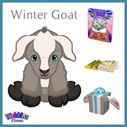 Winter Goat