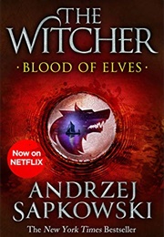 Blood of Elves (The Witcher, #1) (Andrzej Sapkowski)
