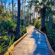 Alafia River State Park