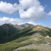 Mount Healy Overlook Trail, Denali National Park