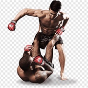 MMA