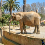 Barcelona Zoo, Catalonia, Spain