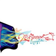 2 Skinnee J's-Sexy Karate