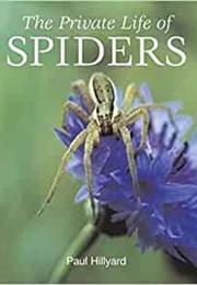 The Private Life of Spiders (Paul Hillyard)