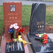 Bruce and Brandon Lee Graves (Seattle, WA)