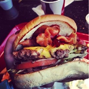 Alaska - Arctic Roadrunner